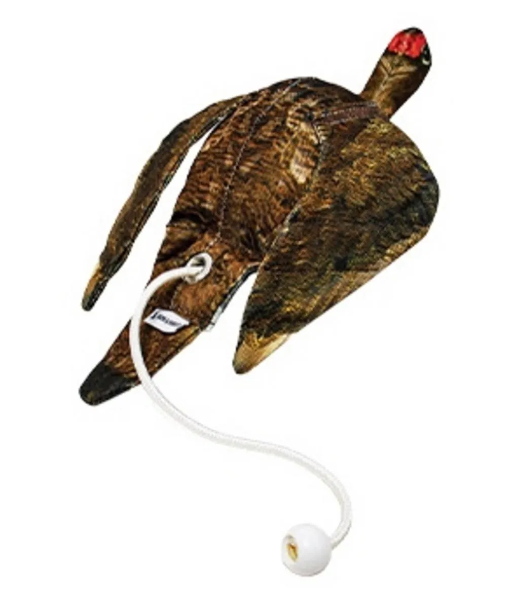 Bisley Grouse Dead Bird Dummy