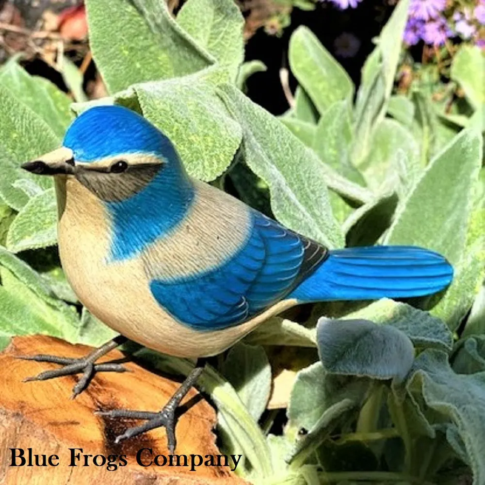 Blue Frogs Company - Bird Sculpture (Western Scrub Jay) #B-113