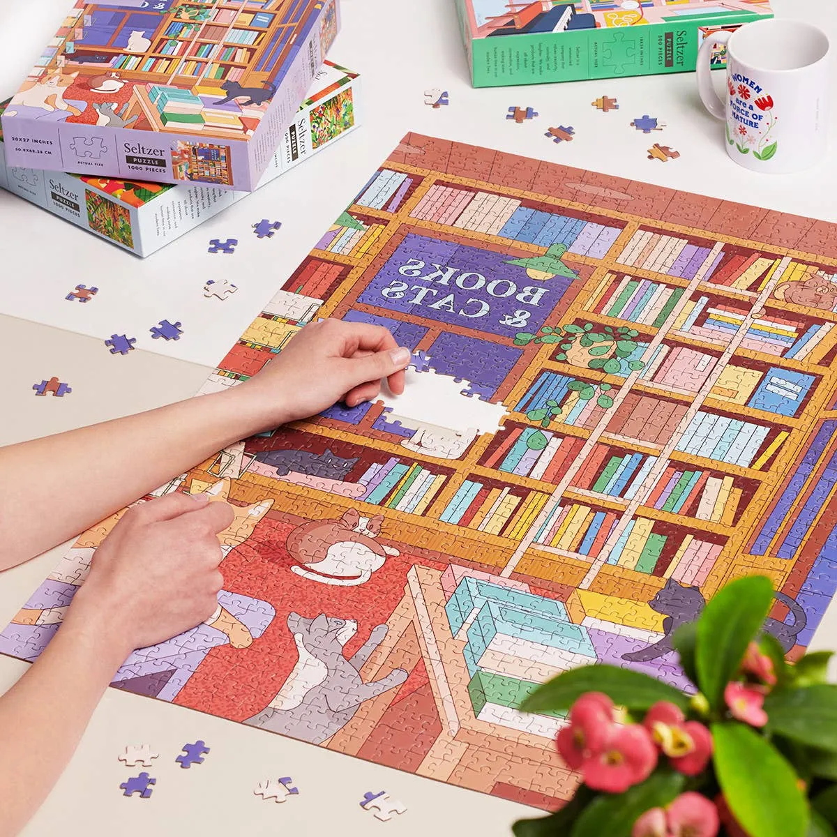 Cat Bookshop Puzzle