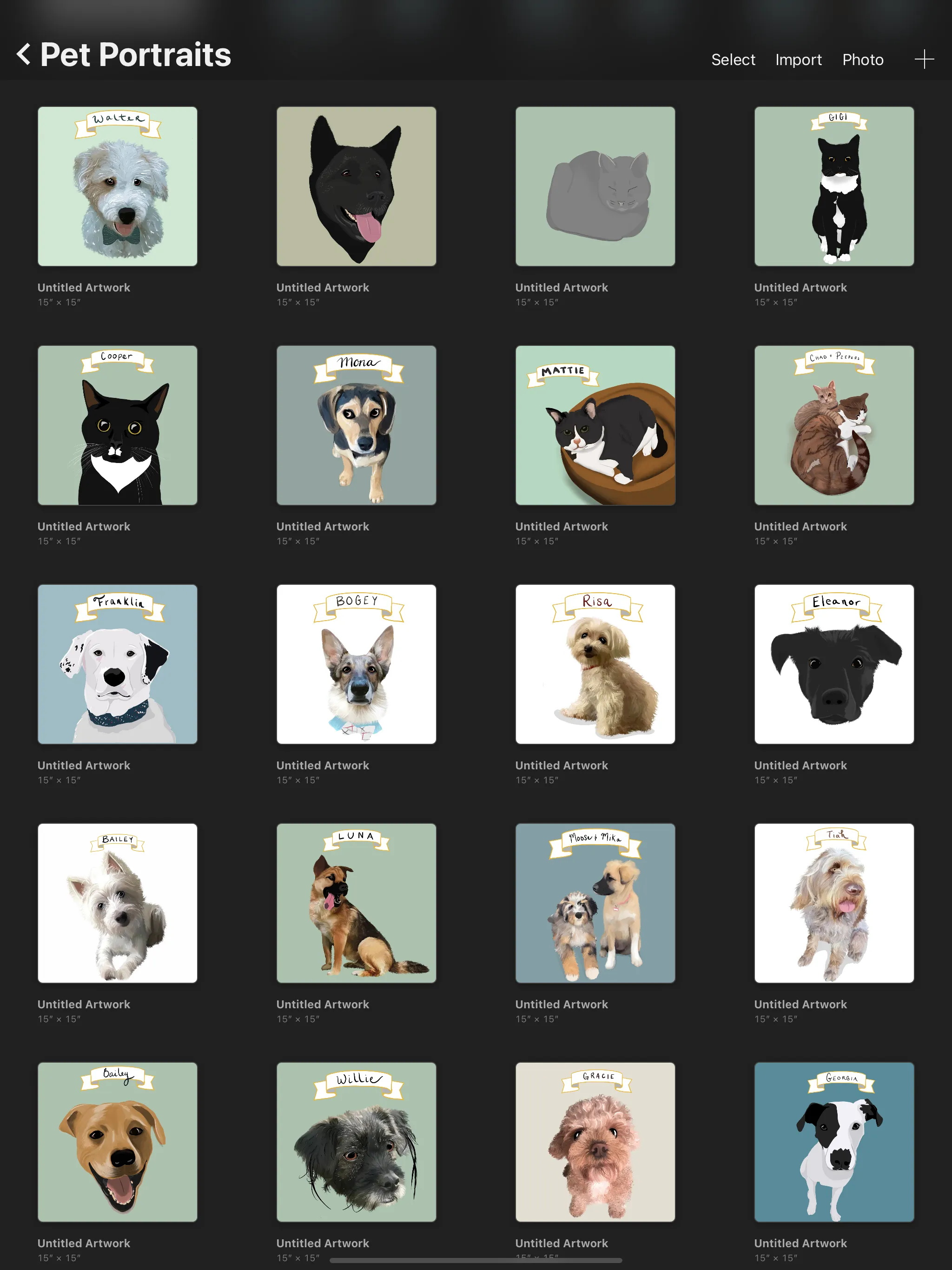 Custom Pet Portraits