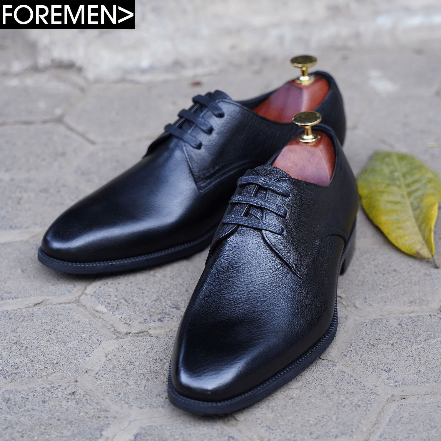 DAVID CLARKE | Black Derby