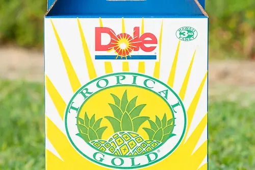 Fresh Pineapple 30lb Pack