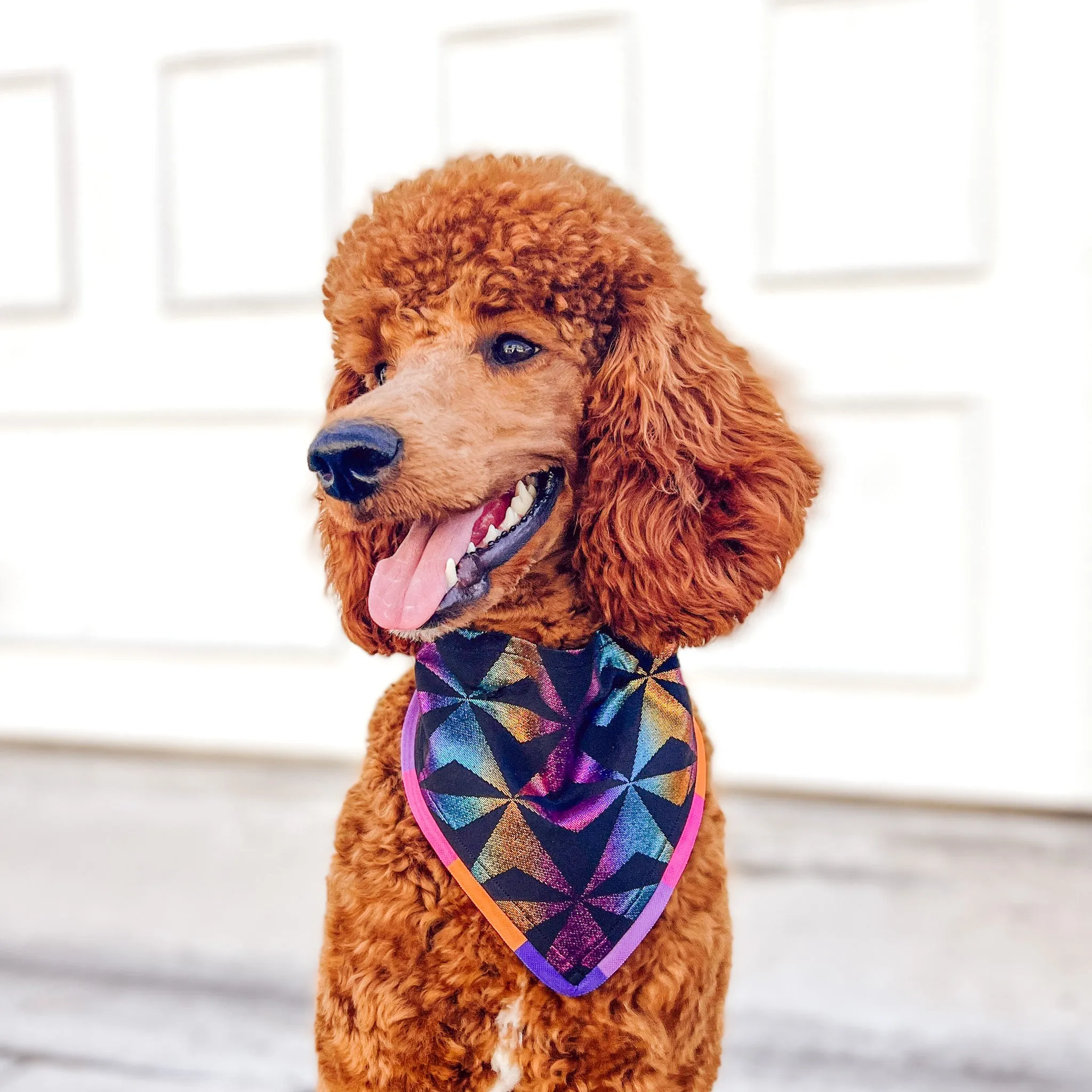 Geodesic Night Pet Bandana