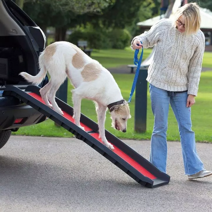 Henry Wag Lightweight Folding Pet Ramp