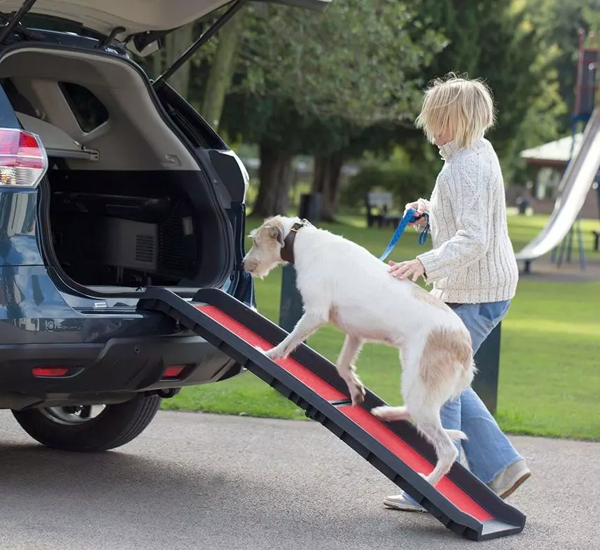 Henry Wag Lightweight Folding Pet Ramp