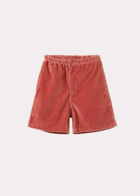 Kids Caramel ALASTAR AW23 PARTY SHORTS - SALMON