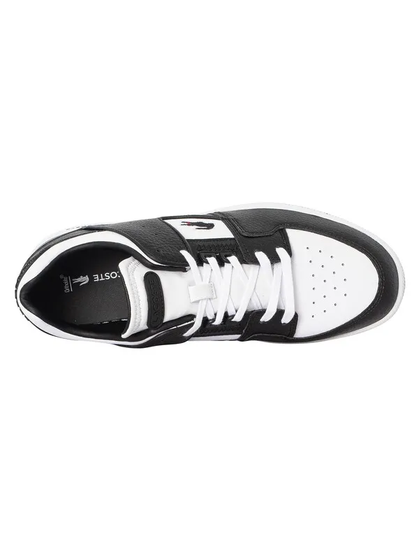 Lacoste Court Cage 223 3 SMA Leather Trainers - White/Black