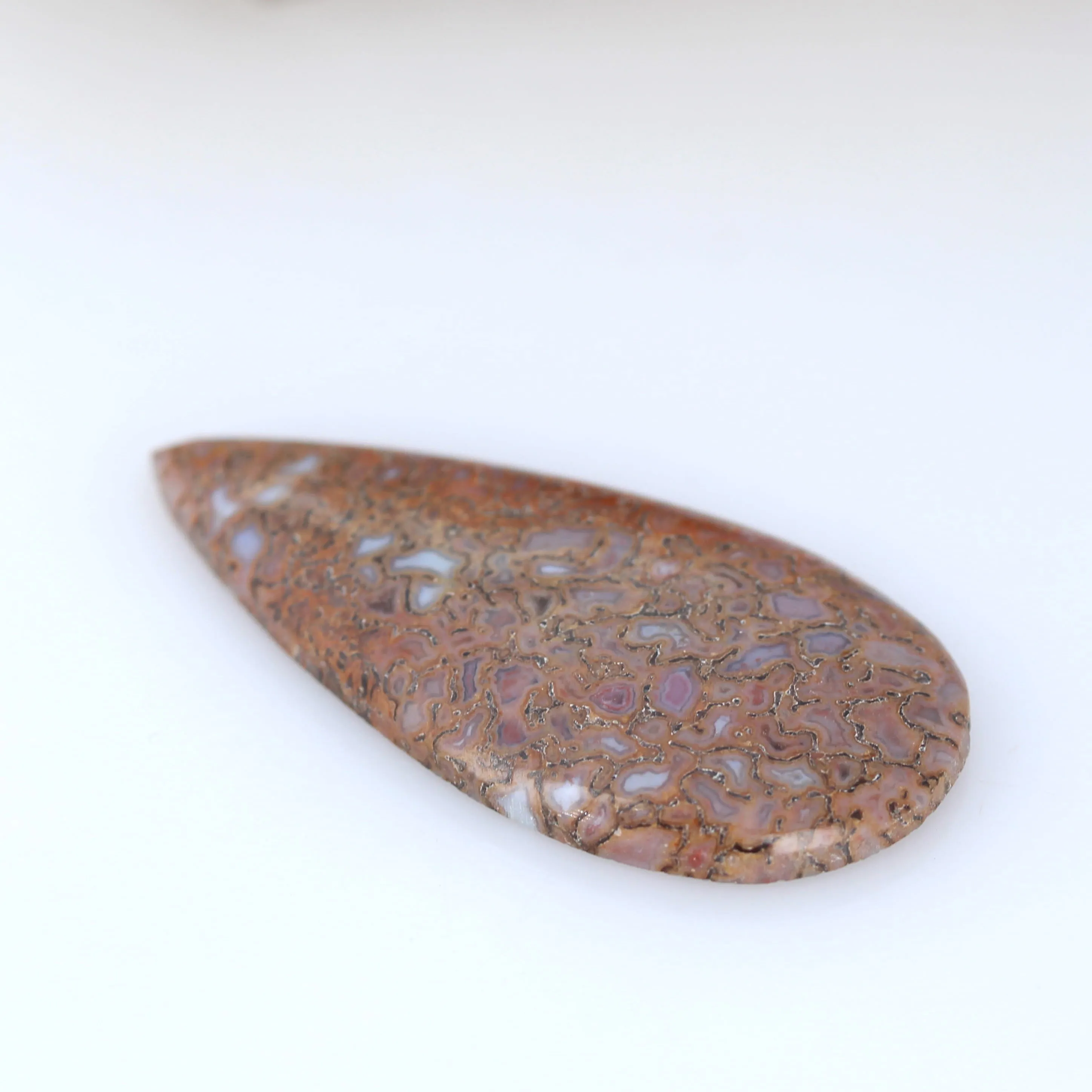 Large Beautiful DINOSAUR BONE Teardrop Shape Cabochon