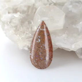 Large Beautiful DINOSAUR BONE Teardrop Shape Cabochon