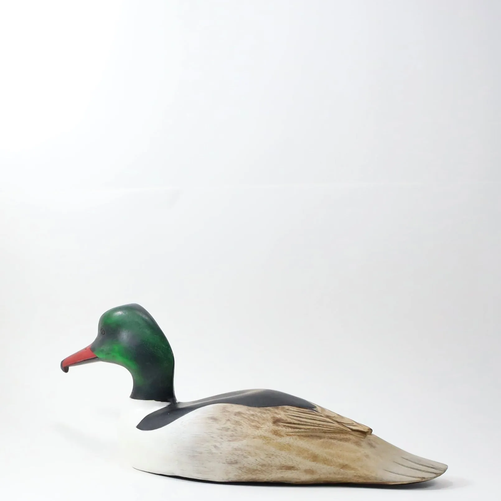 Merganser Duck in Wood