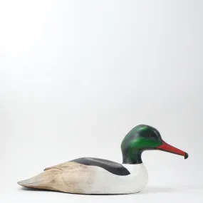 Merganser Duck in Wood