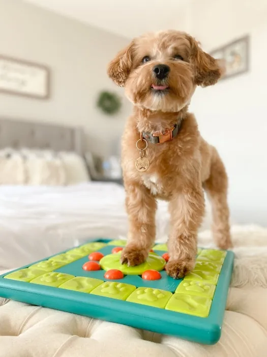 MultiPuzzle Dog Puzzle