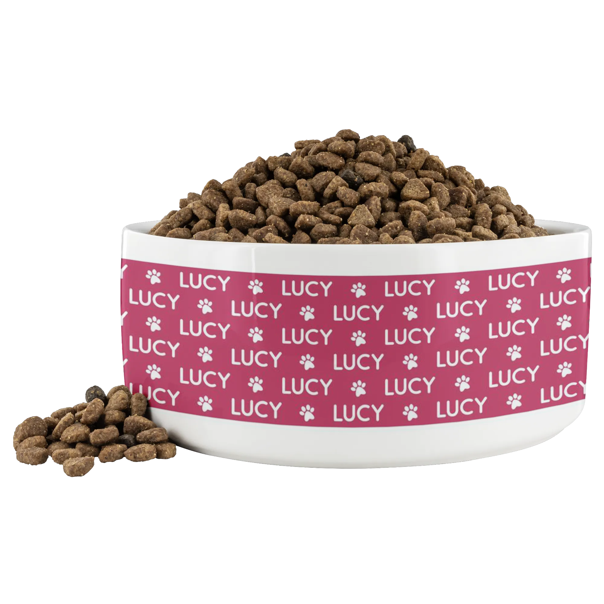 Personalized Ceramic Dog Bowl Pattern Name