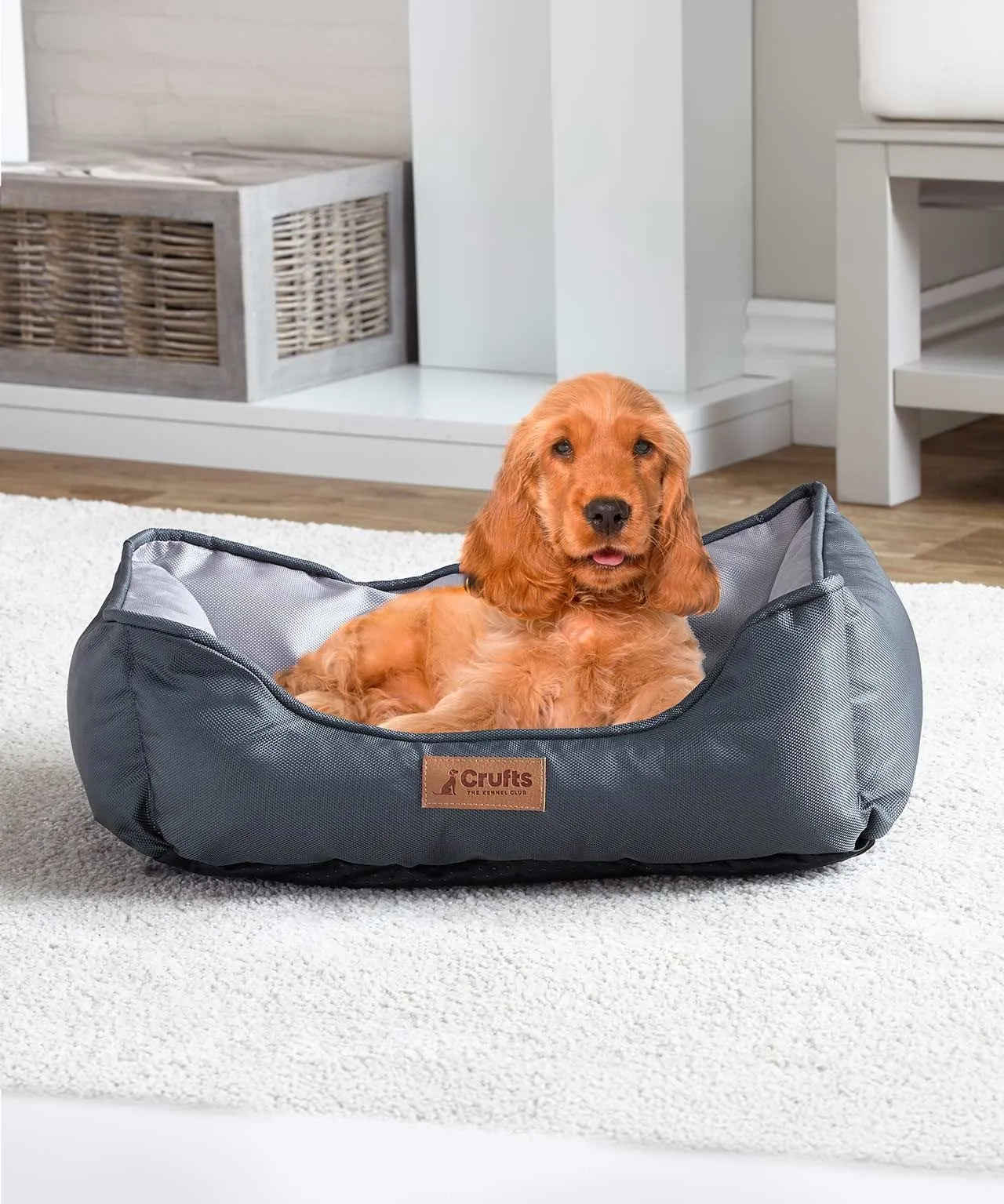 Pet Bed