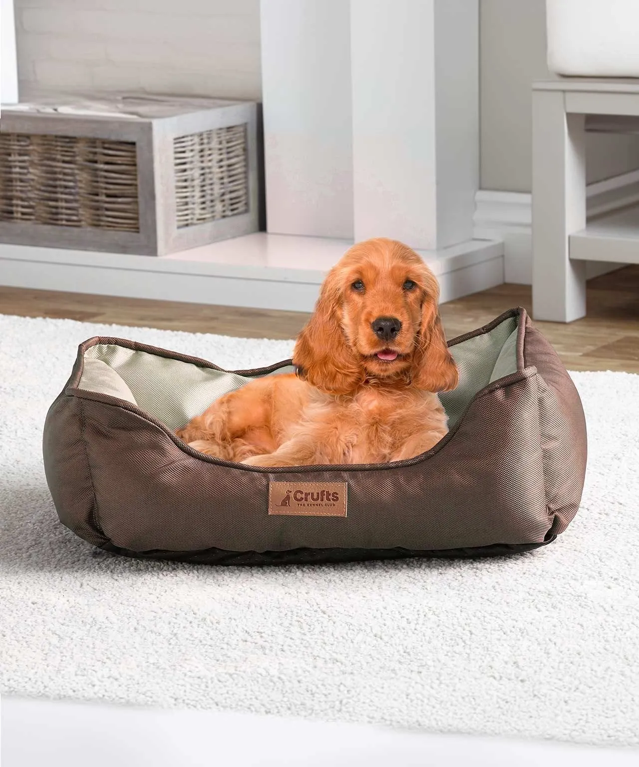 Pet Bed