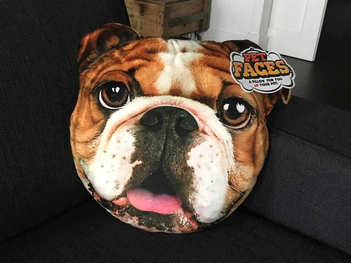 Pet Faces English Bulldog