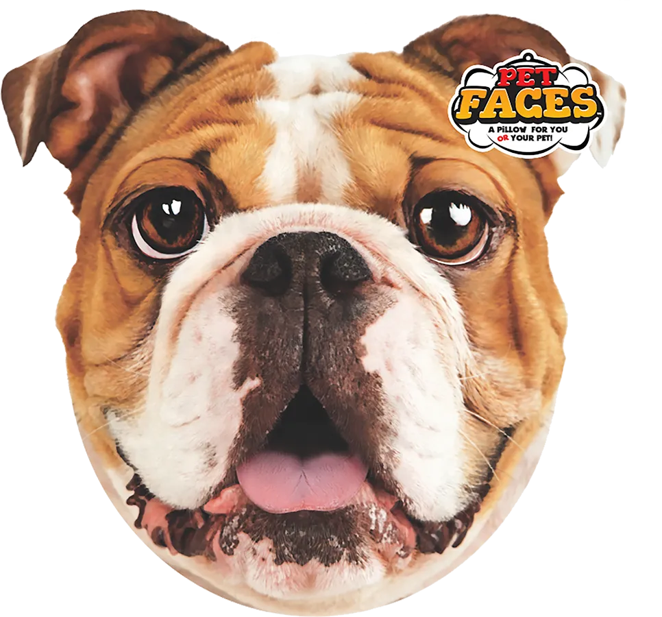 Pet Faces English Bulldog