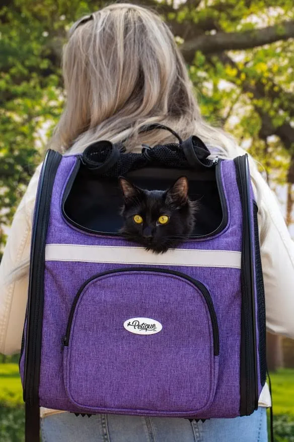 Petique Pet Backpacker, Pet Carrier for Small Size Pets, Ventilated Backpack Bag for Cats & Dogs  