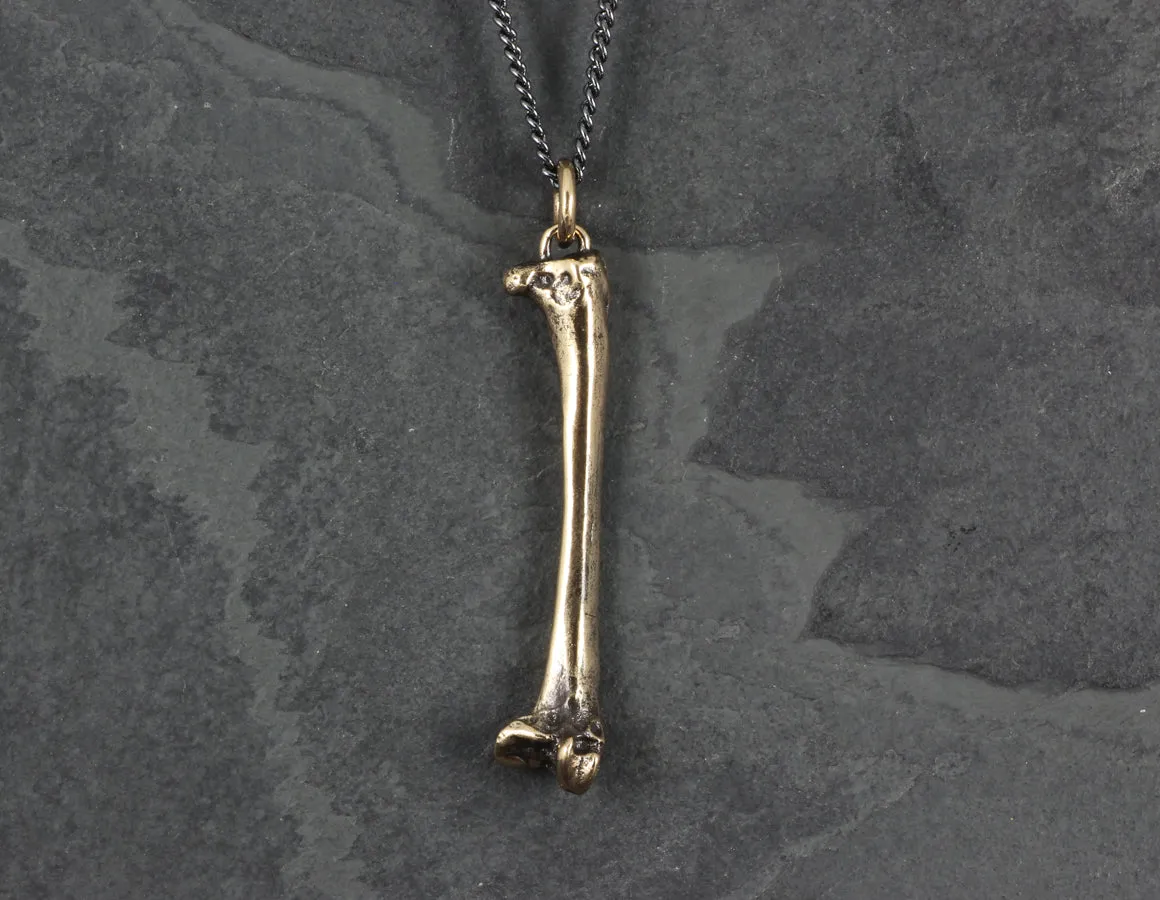 Raven Femur Bone Necklace - Bronze