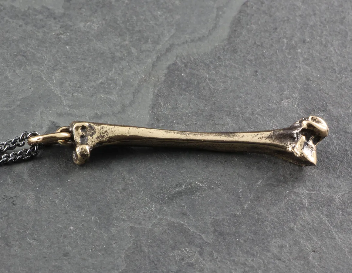 Raven Femur Bone Necklace - Bronze