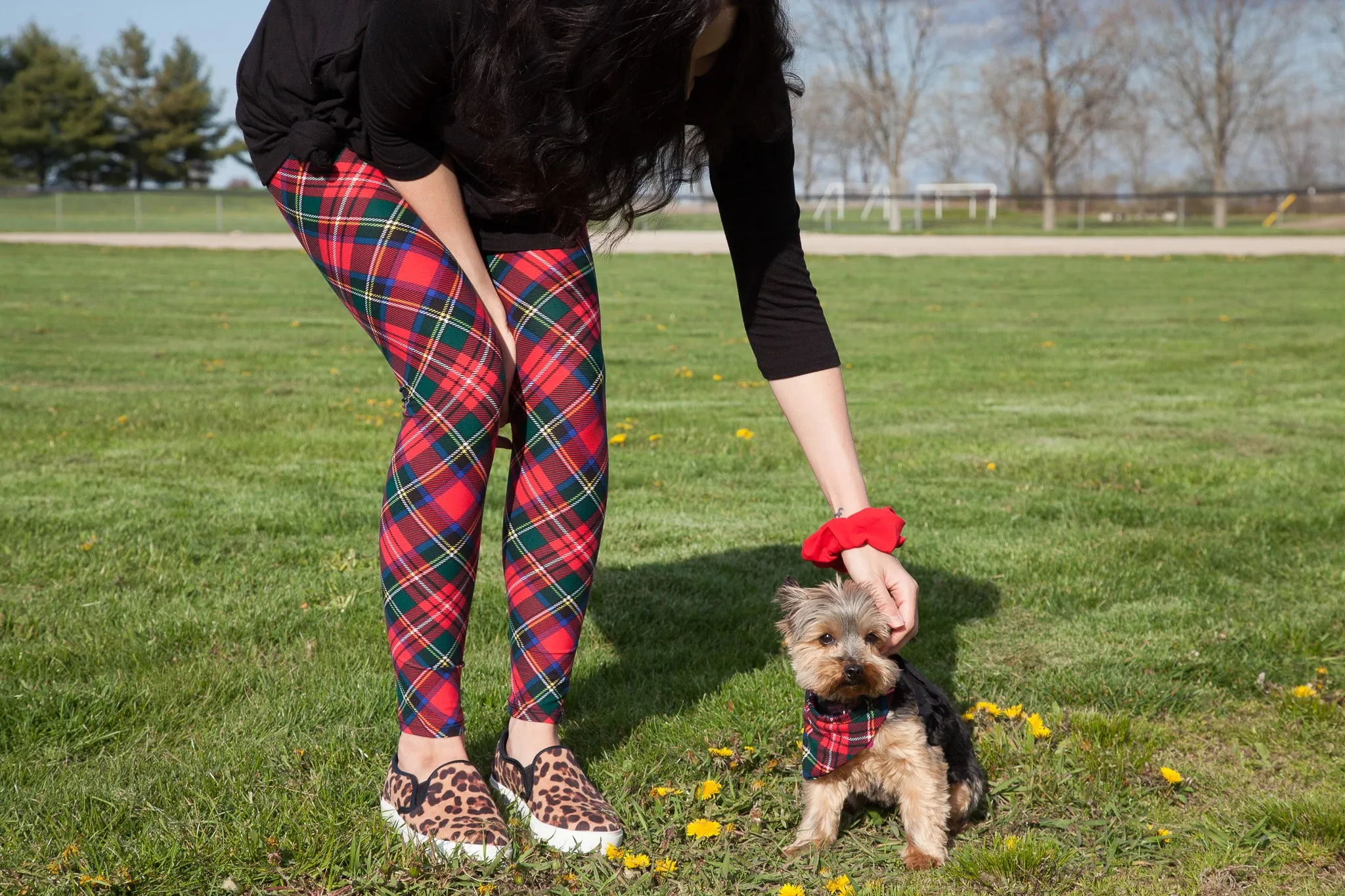 Royal Stewart Tartan Pet Bandana