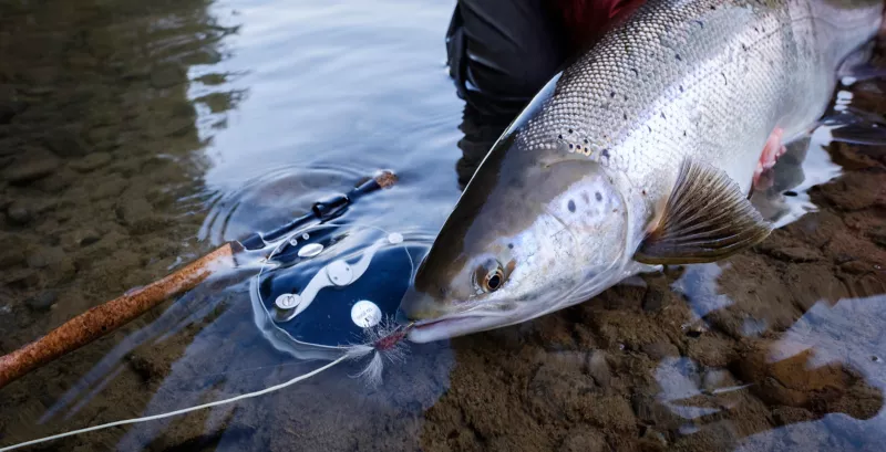 Salmon Lodge on the Grand Cascapedia, QC