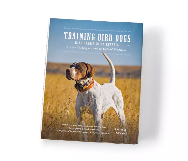 Training Bird Dogs With Ronnie Smith Kennels