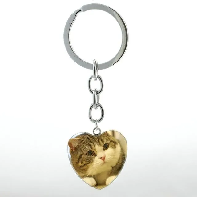 Unisex Cute White Scottish Burmese Tabby Cat Animal Fold Keychain Jewelry