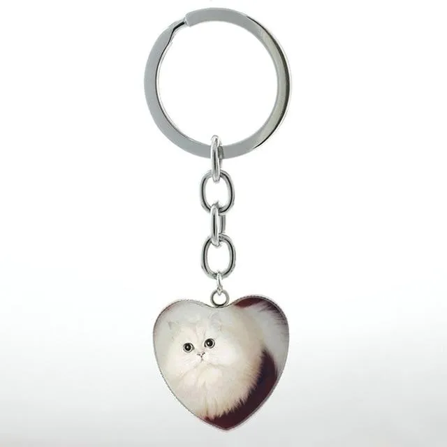 Unisex Cute White Scottish Burmese Tabby Cat Animal Fold Keychain Jewelry