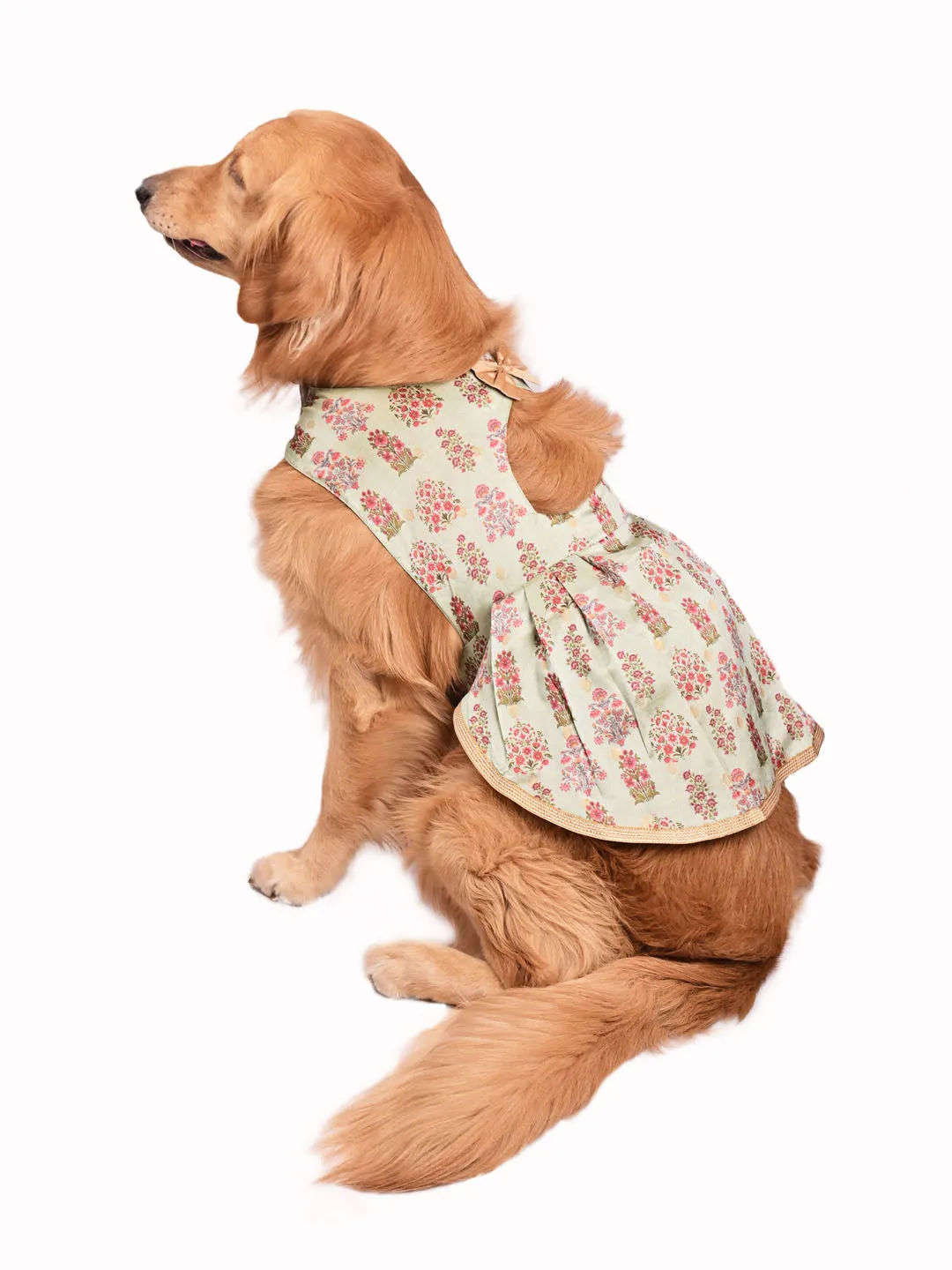 Vastramay Dogs Allover Printed Dress