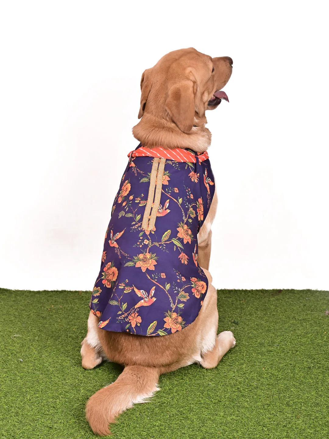 Vastramay Dogs Allover Printed Rayon Kurta