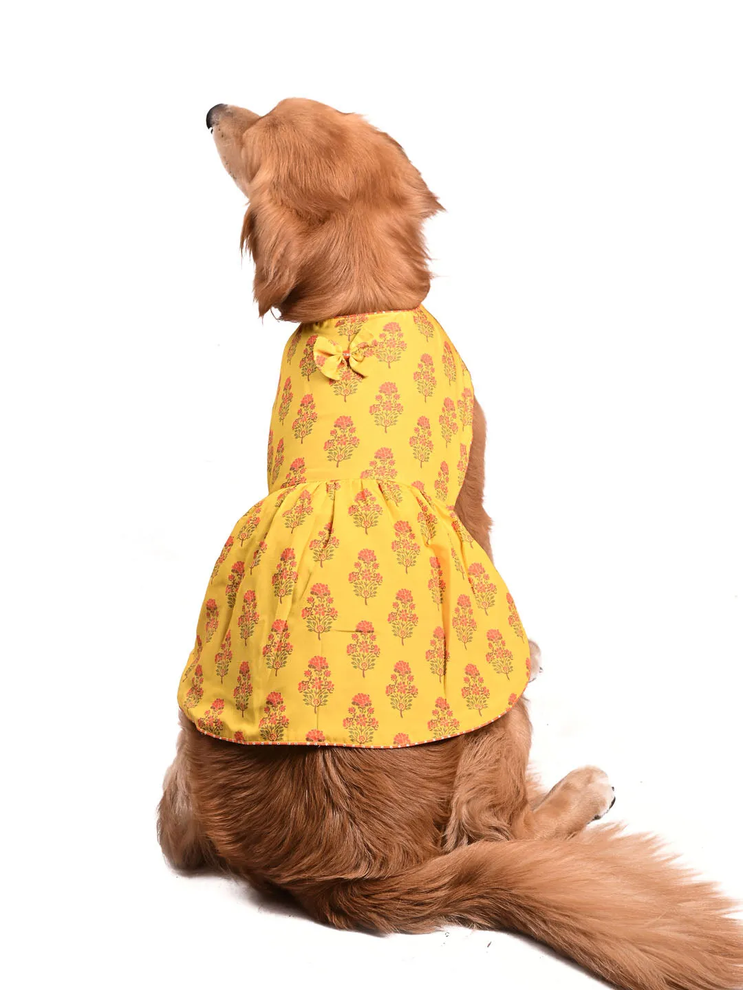 Vastramay Dogs Allover Printed Rayon Sleeveless Dress