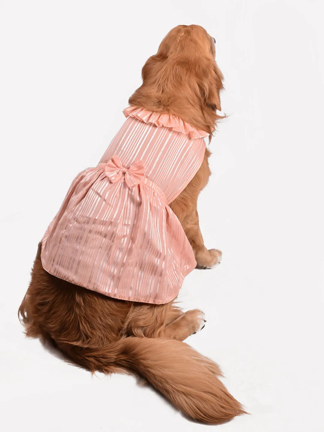 Vastramay Dogs Lurex Stripe Dress