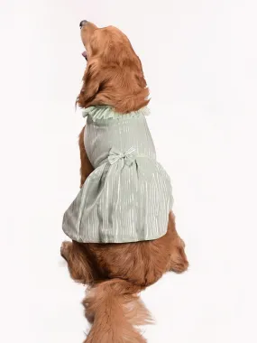 Vastramay Dogs Lurex Stripe Sleeveless Dress